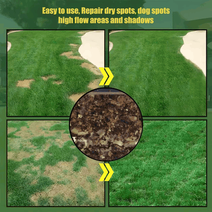 🔥Last Day Promotion 49% OFF🔥🌱2026 Evergreen Dwarf Grass Seed for Four Seasons| Durable, Vibrant Green All Year