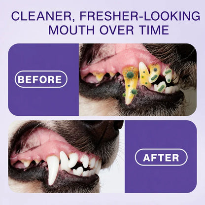 Pet Zinc-Gluconate Oral Spray