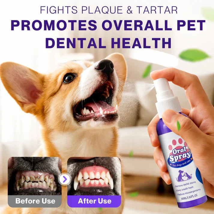 Pet Zinc-Gluconate Oral Spray