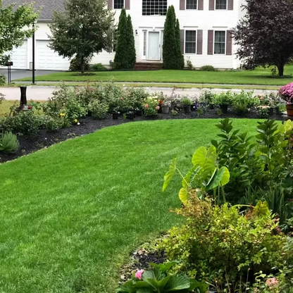 🔥Last Day Promotion 49% OFF🔥🌱2026 Evergreen Dwarf Grass Seed for Four Seasons| Durable, Vibrant Green All Year