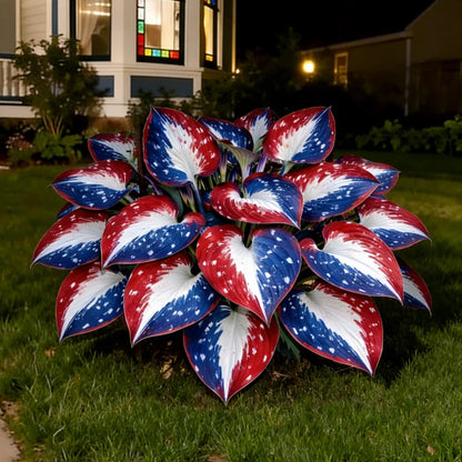 🎉Celebrate America's 250th 🌱Premium Rare Hosta Seeds🌿Shade-Tolerant Plant